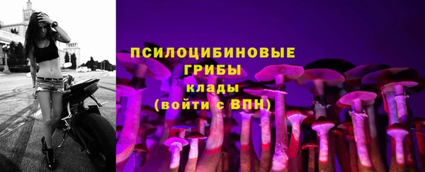 mix Магас