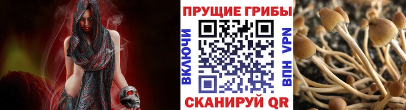 Галлюциногенные грибы Magic Shrooms  кракен зеркало  Серов 